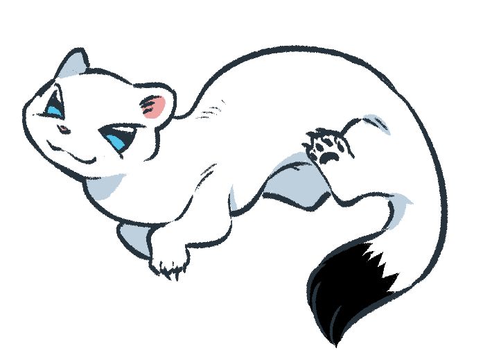 A winter stoat with blue eyes and a soft smile