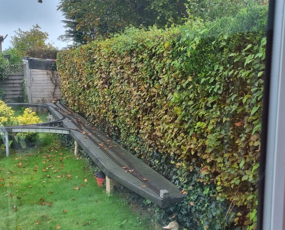 Our garden railway with autumn leaves on the line