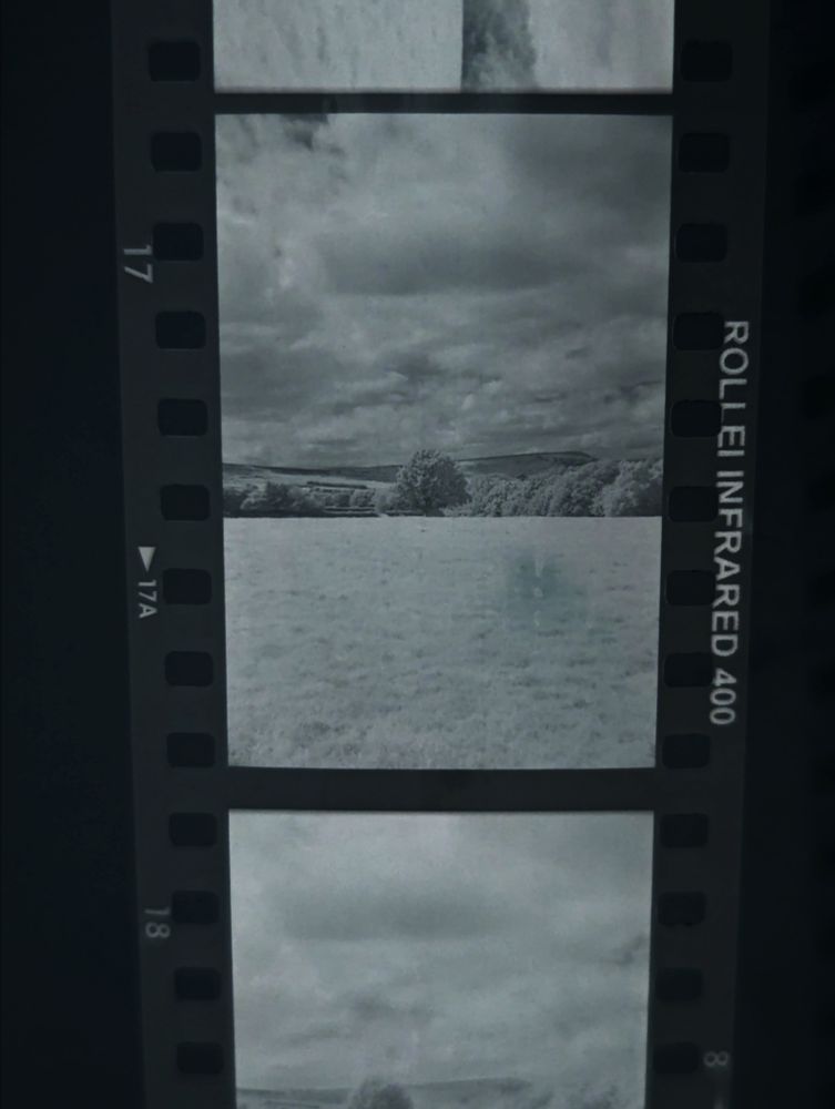 Inverted shot of a black and white infrared negative drying showing a pale field with a tree in the distance and dramatic skies. The film edge says "ROLLEI INFRARED 400"