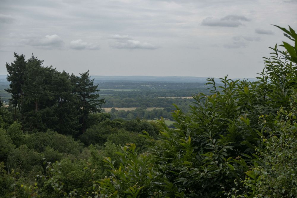 A distant view of the south downs across the low weald, under a grey sky frame by dark trees