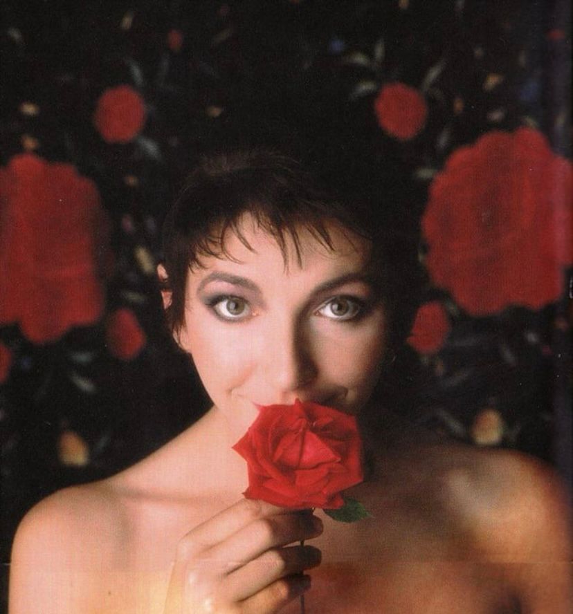 A photograph of Kate Bush holding a red rose against her mouth 