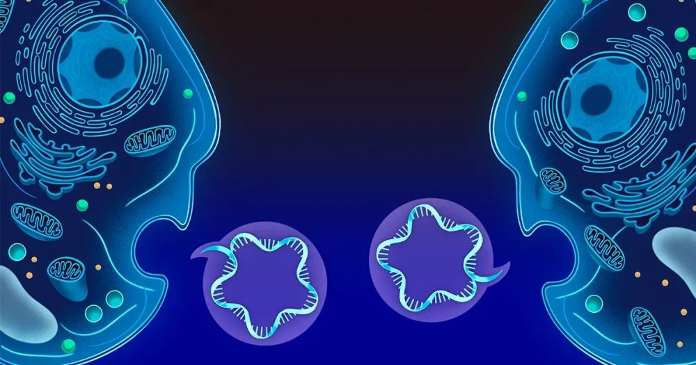 Illustration of how cells across the tree of life can swap short-lived messages encoded by RNA. 