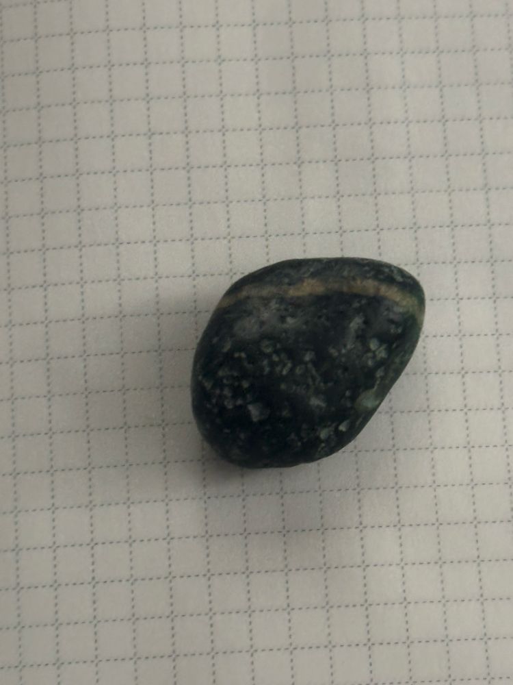 A nice black pebble with a white band across it. 
