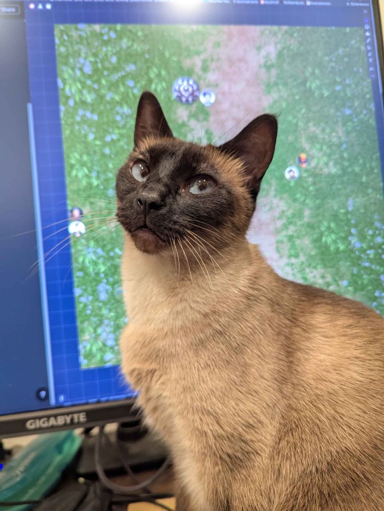 A siamese cat sitting in front of a computer monitor showing an RPG TTRPG VTT map with icons for characters and monsters, while giving a sassy look at the camera.