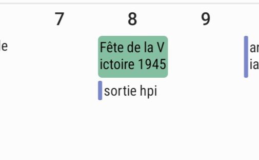 screen zoom d'un calendrier électronique. au n°8 il est inscrit l'événement "sortie hpi"