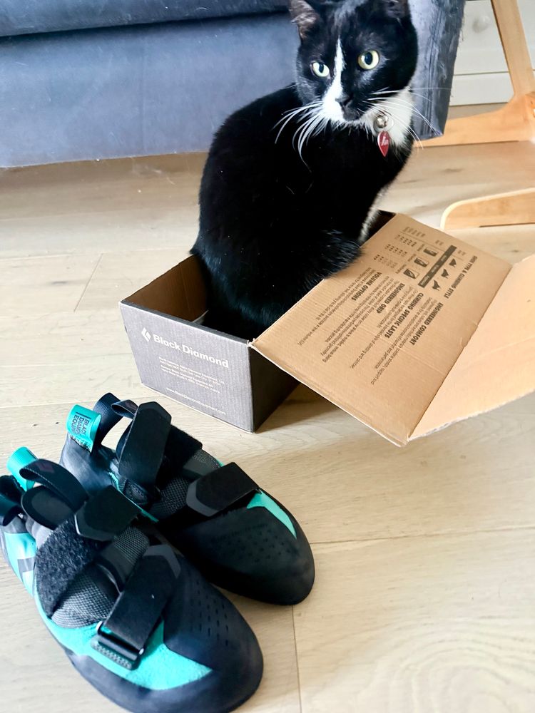 My new Black Diamond mentor climbing shoes and my tuxedo cat Min’s new cardboard box (that she is sitting inside). We are both chuffed about the new gear!