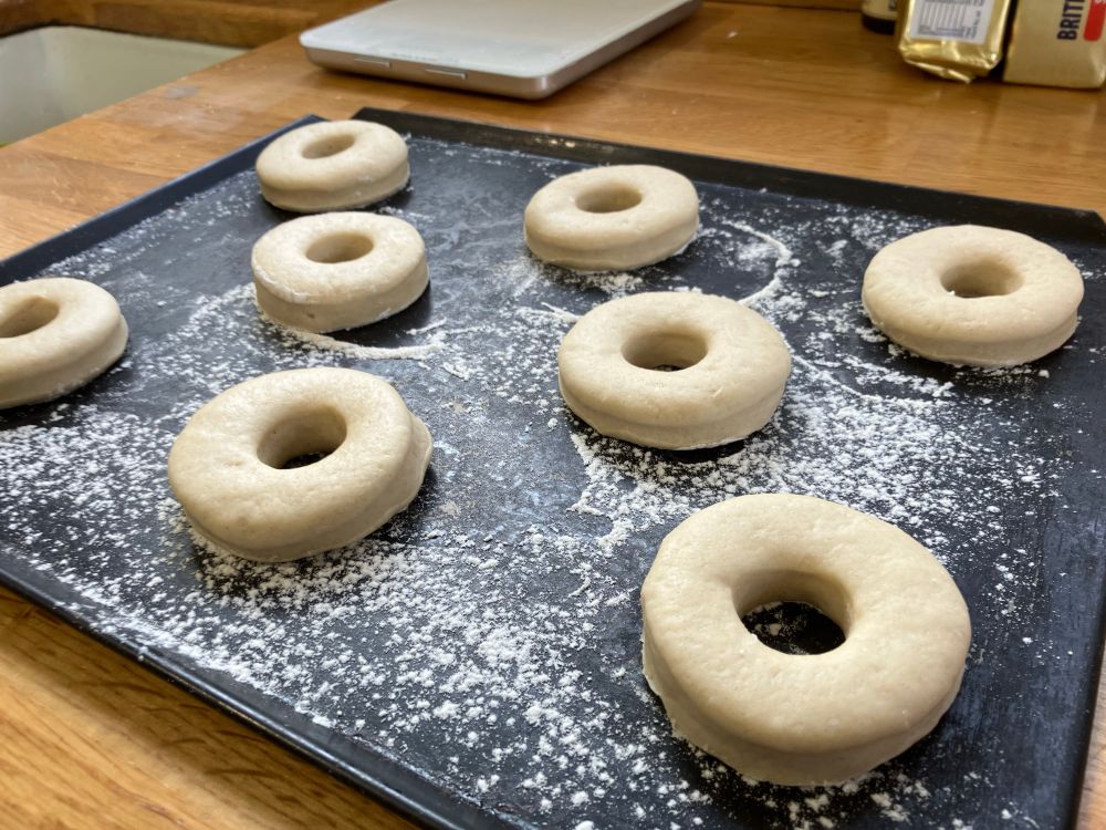 Doughnuts after 2nd prove on a floured baking tray