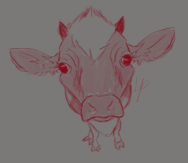 A cow looking straight up to you