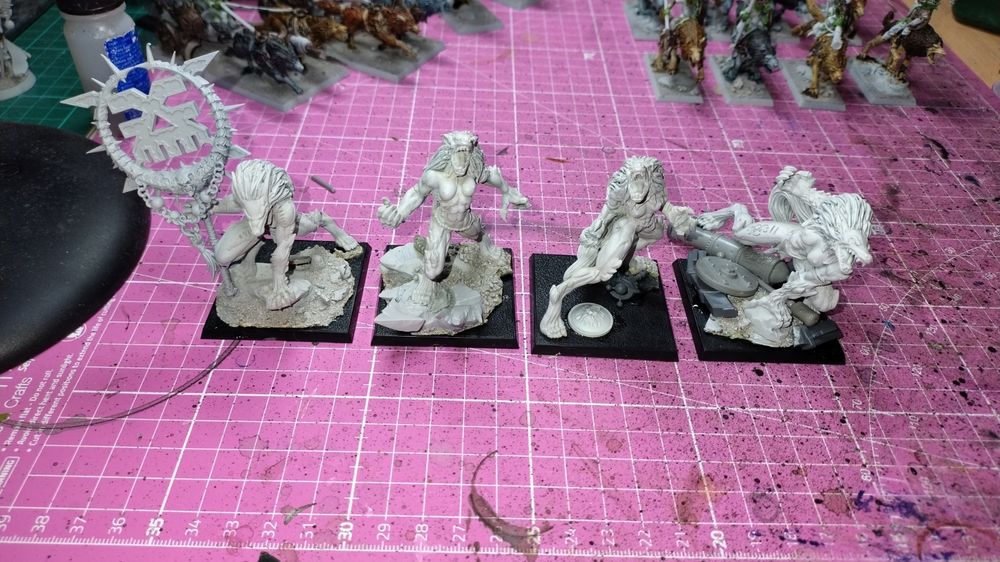 A pic of four Raging Heroes toughest Girls of the Galaxy Werewolves, rebased onto 50mm squares. Another unit to join my fledgling Chaos army, been working my armies in pairs, so first was O&G vs Dwarf which I have just started painting, currently putting together Cathay vs Warriors of Chaos.

Regarding the Shewolves, they had been in limbo for ages before I added them to the World Eaters last year, but I was using them as tbh who knows what, I had partially made up my own unit, but the Skin Wolves fits them much better... one of the models had a rear leg that stuck out too far, although I like a fair bit of the Raging Heroes designs, they don't always consider how well a model fits on a base. So she was even too long for the 60mm bases they were on previously so I had her on a Necron Shield that stuck out at the back...  this rebase has her rear foot on something much more impressive. :D 