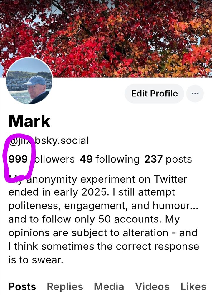 A screenshot showing the Bluesky profile page of @jilx.bsky.social, with commentary suggesting that it's likely no more than 9 of the 999 followers counted are likely to be interested in anything posted by Mark.