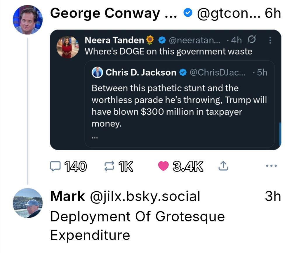 A screenshot of Bluesky posts noting that DOGE ought to be called in to address the wasteful costs of recent ICE / military actions.