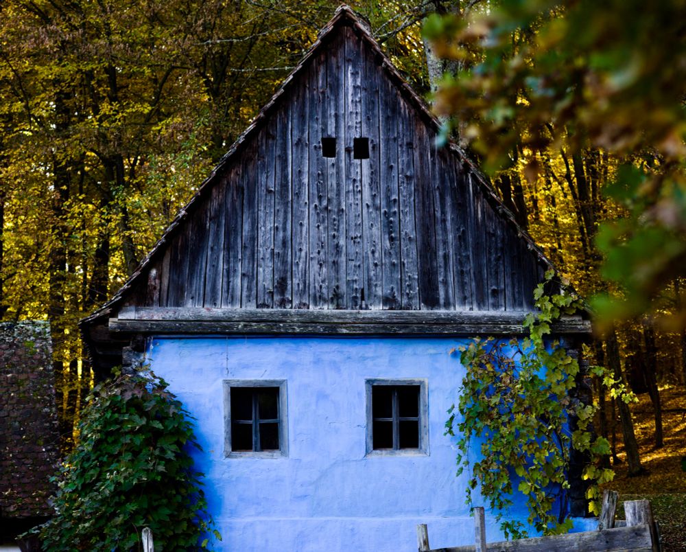 Blue house surrounded by trees with yellow and green leaves