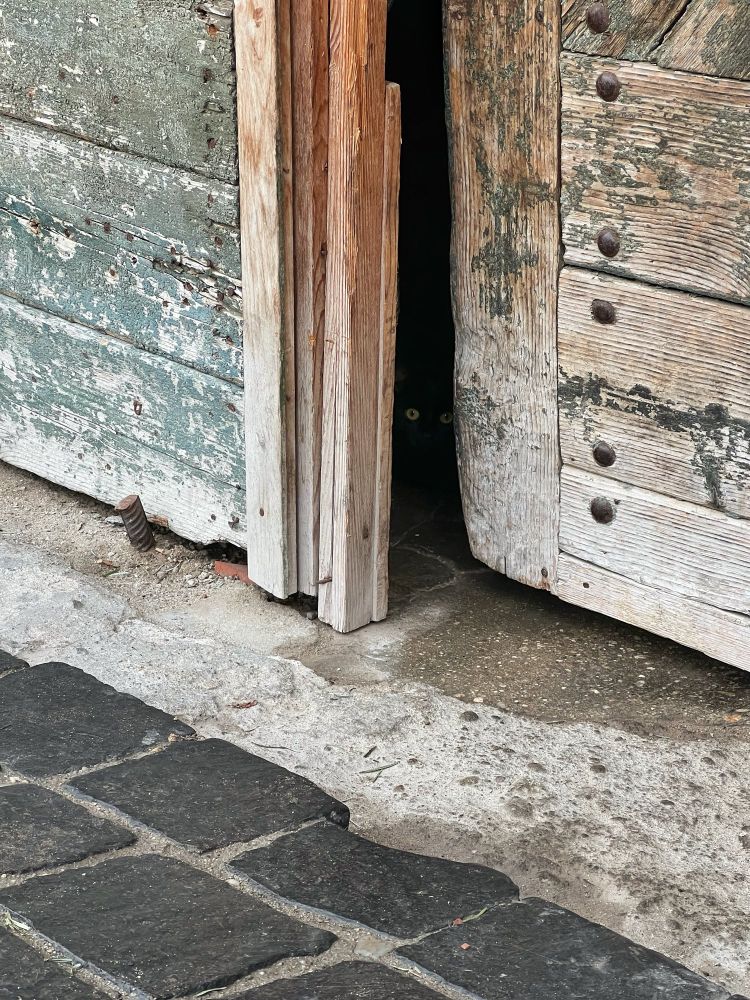 A close-up of an old, partially open wooden door. A black cat is barely visible in the darkness behind the door, with only its eyes showing. The ground in front of the door is a mix of worn concrete and dark cobblestones.