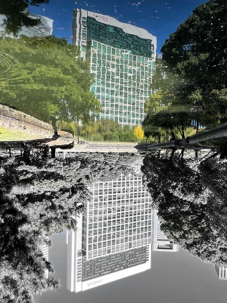 Upside-down photo showing the reflection of a tall modern building and trees in a pond. The reflection is in colour, while the actual scene below is in black and white, creating a split visual effect.