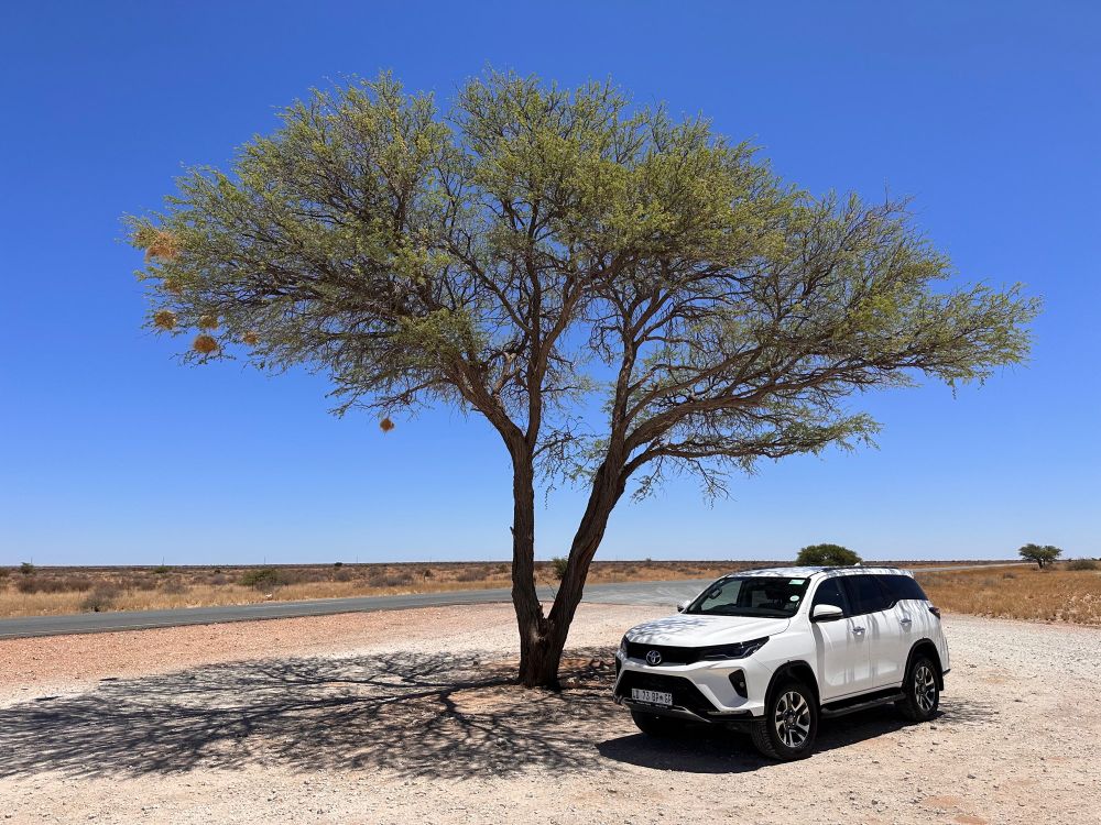 Namibia, Pause für den Fahrer