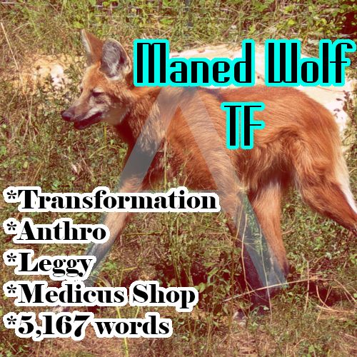 Talbot is a hobbyist artist who went into drawing 3D models for VRChats. It went well until his drawing tablet died while working on an anthro maned wolf model. So, he went out to purchase a new tablet. Along the way, he found a 'little' shop that would change his life forever.

Maned Wolf TF

Contains:
Transformation
Anthro
Leggy
Medicus Shop

Word count:
5,167 words