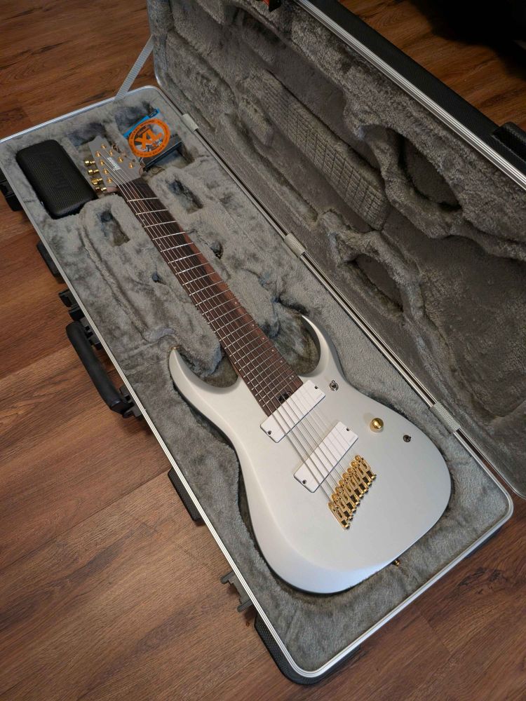 An 8-string Electric Guitar (Ibanez RGDMS8)