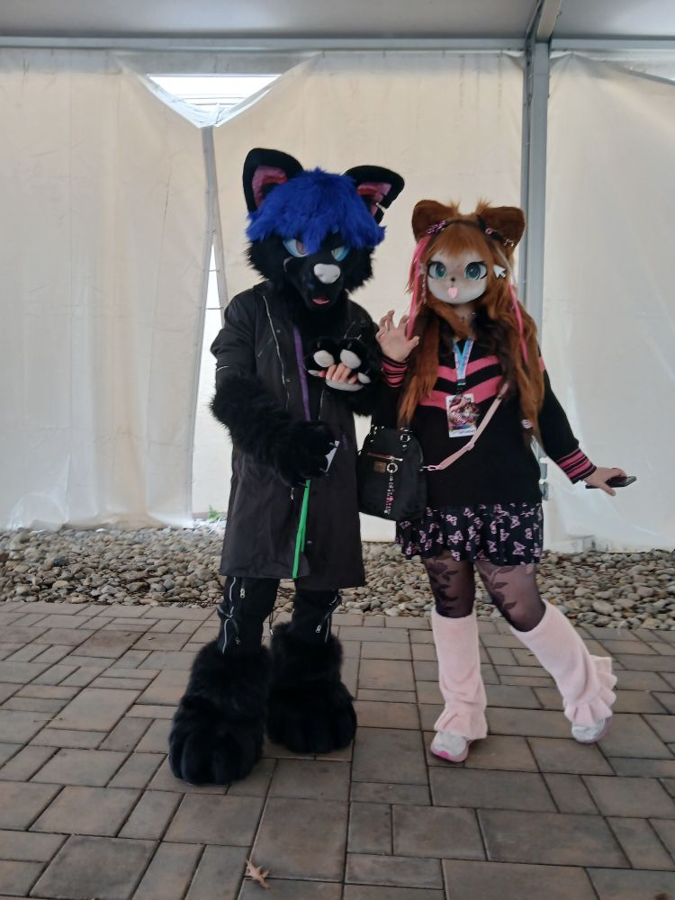 Two partial fursuiters. The one on the left is a black wolf (I think) with pink ears and blue hair.
The one on the right is i forget but thier face is light brown with reddish hair with pink highlights.