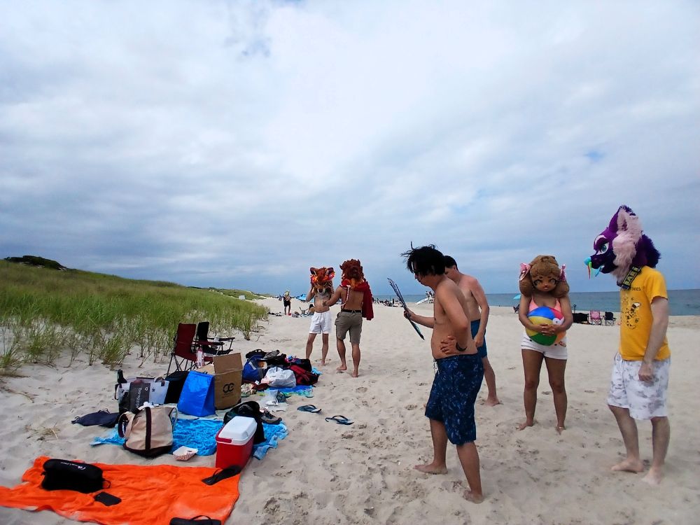 The Furgen crew suiting up and enjoying the beach.