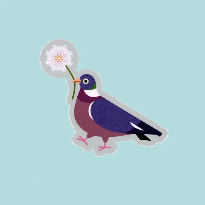 Wood Pigeon holding a dandelion