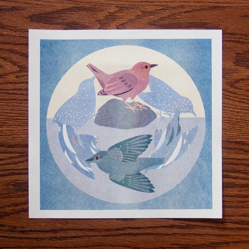 Flat illustration of an American Dipper framed in a circle. The dipper engages in its signature dip below the water in 7 steps, with stylized silhouettes beginning from a rock, diving below the water, and surfacing on top of the same rock. 