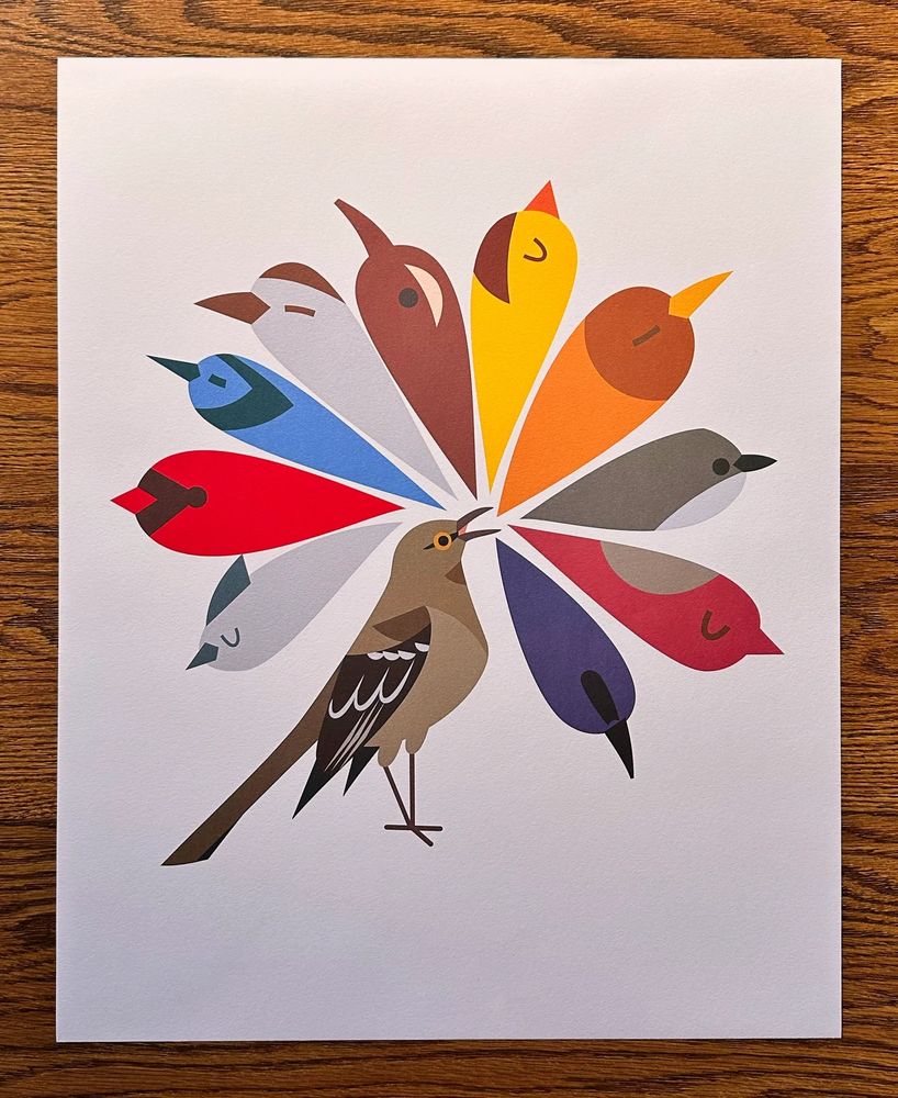Flat illustration of a Northern Mockingbird singing in an upright position- semi-abstract bubble/balloon birds spring forth in the colorful shapes of many birds including a Blue Jay, Goldfinch, Robin, and Eastern Phoebe. 