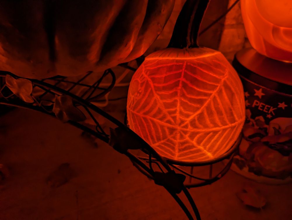 Spiderweb pumpkin 