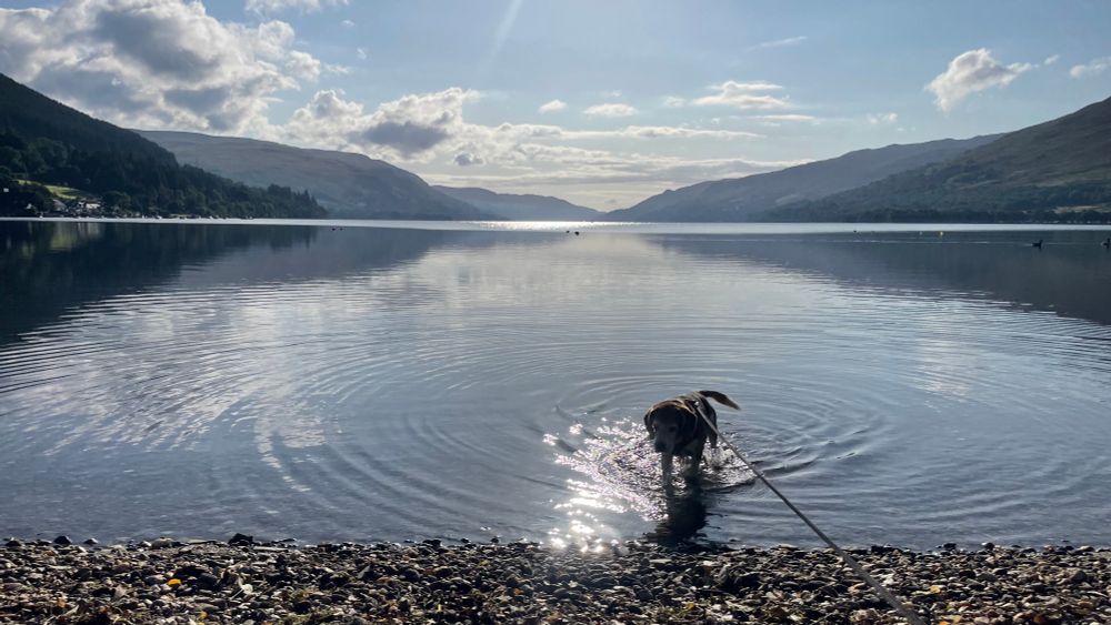 Sun shining of a still loch with stones in foreground and sky and a few clouds in top third. My beagle is paddling in the water. 