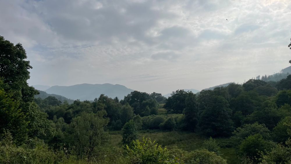 Trees in foreground with outline of mountain behind and cloudy sky 