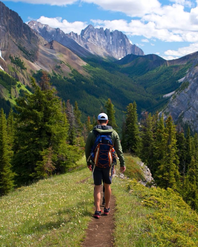 [Image description: Image shows a man hiking on a flowered green path, with a mountain range ahead of him.]