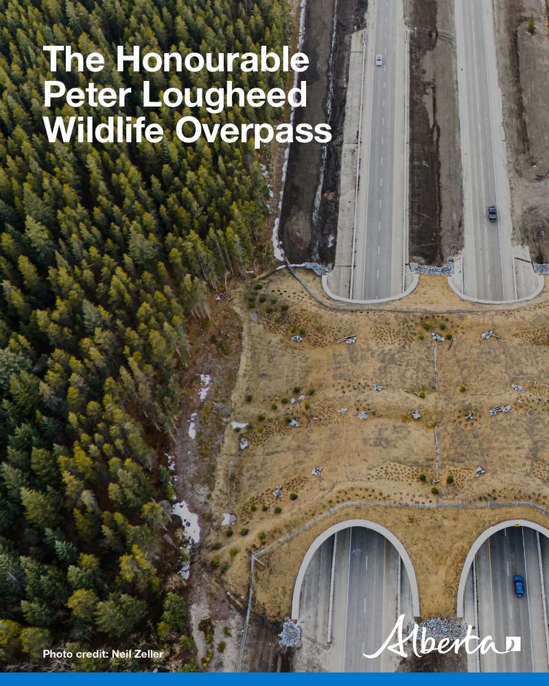 An ariel view of the twinned highway and the overpass. Text reads The Honourable  Peter Lougheed Memorial Wildlife Overpass. Photo credit Neil Zeller. The Alberta logo is on the bottom right. 