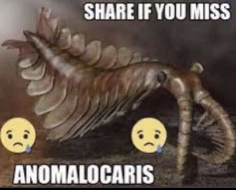 A image of anomalocaris in the background with top text: "SHARE IF YOU MISS"
bottom text: "ANOMALOCARIS". There are two 😥 emoji's above this text.
Anomalocaris are extinct animals from ~500 million years ago.