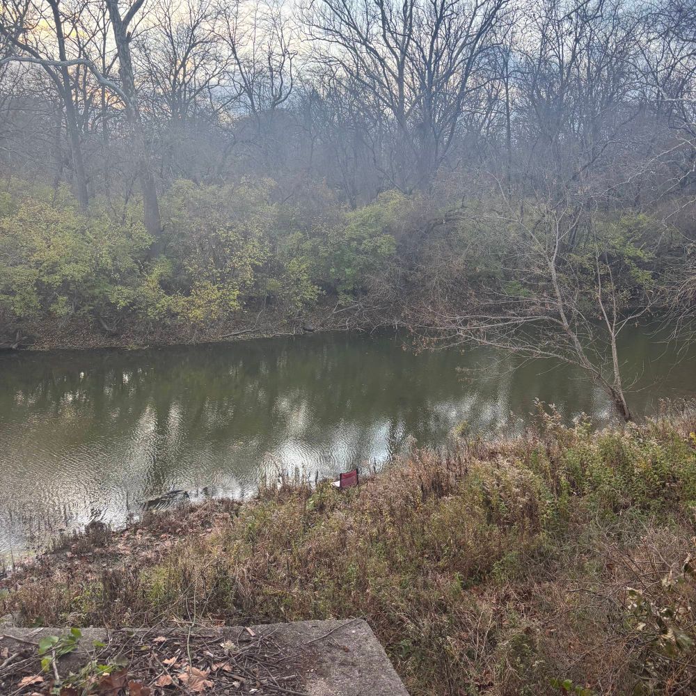 A creek surrounded by woods off a walking path.