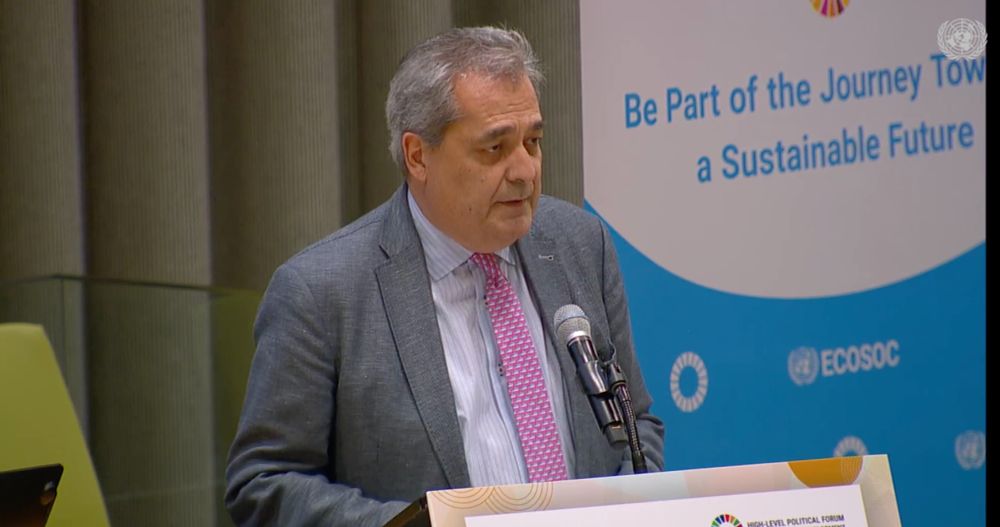 Person in a gray suit and pink tie speaking from a podium in the ECOSOC chamber at the United Nations HQ.
