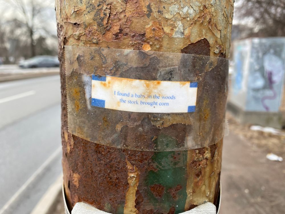A fortune cookie taped to a rusted utility pole. It reads "I found a baby in the woods. The stork brought corn."