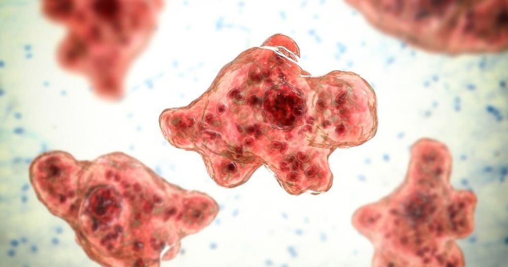 A person in Missouri has been hospitalized after contracting a brain-eating amoeba, possibly after water skiing in the Lake of the Ozarks, state health officials said Wednesday.