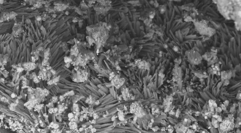Imágenes de microscopio electrónico de barrido de las muestras del asteroide Bennu traídas por la misión OSIRIS-REx de la NASA en la que se ven como cristalitos minerales en blanco y negro.