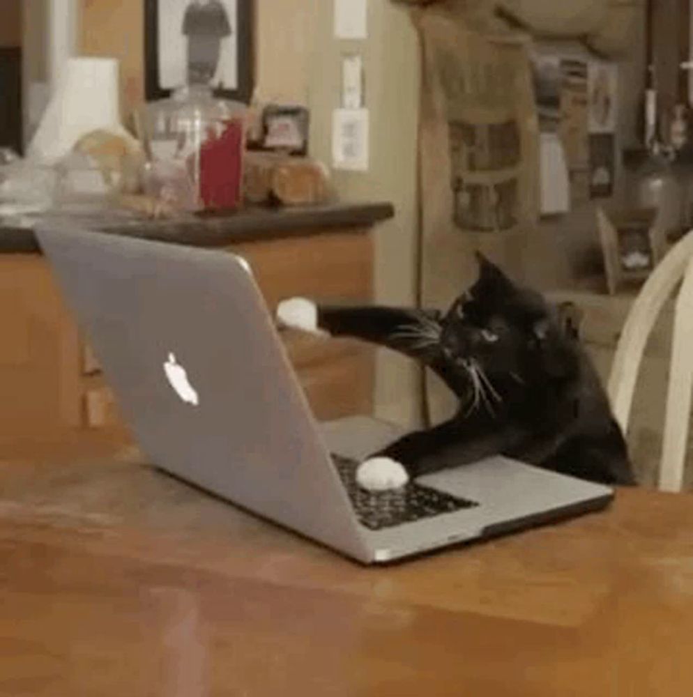 a black and white cat is sitting on a wooden table in front of a laptop computer .