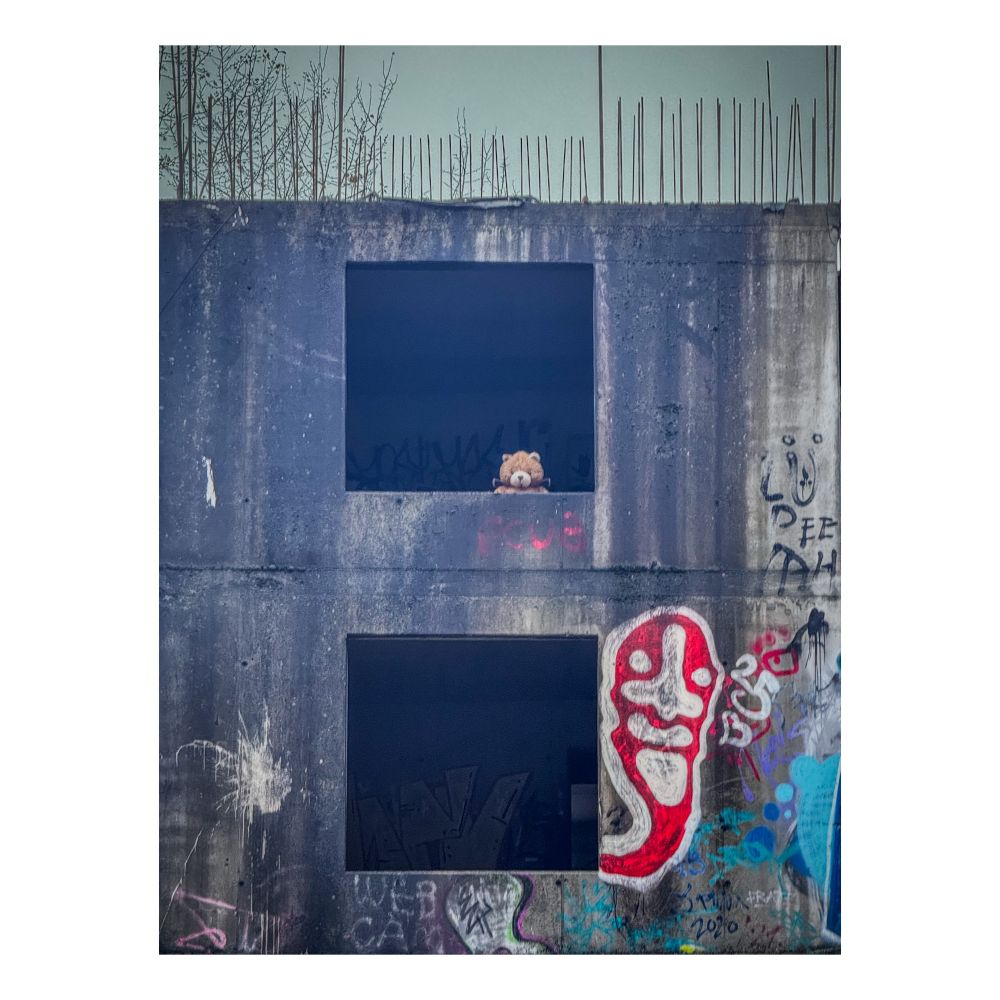 A teddy bear looks out of a decrepit building. 