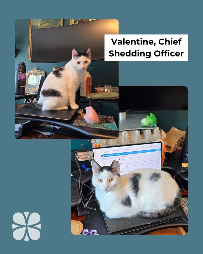 An image of one of Northwoods' furry or feathered friends, in honor of National Take Your Pet to Work Week 2025.