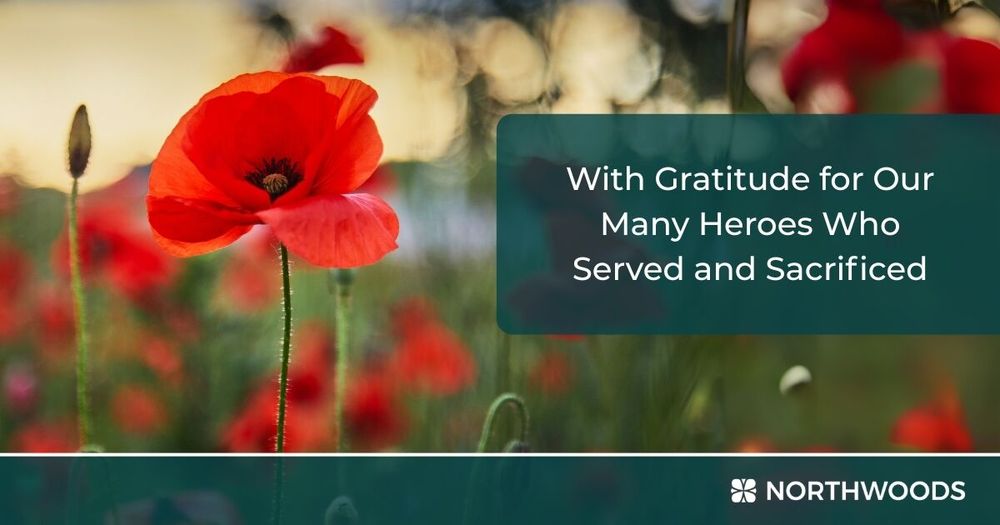 A field of poppies, the Northwoods logo, and text that reads With Gratitude for Our Many Heroes Who Served and Sacrificed.