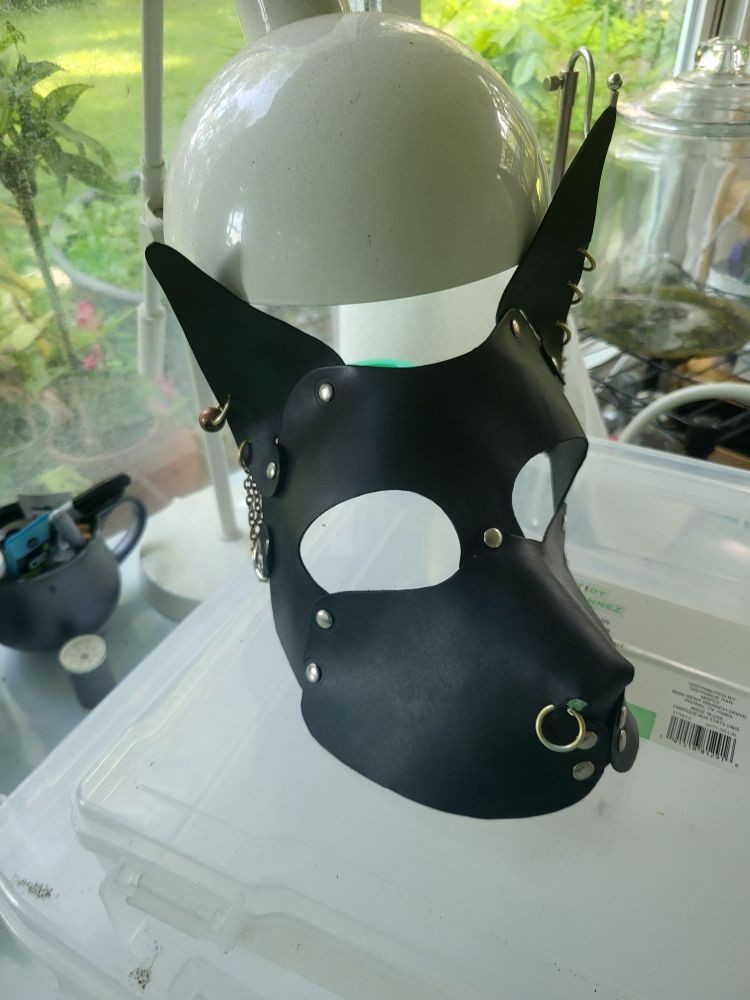 A dark green leather dog mask with gold hoop piercings.
