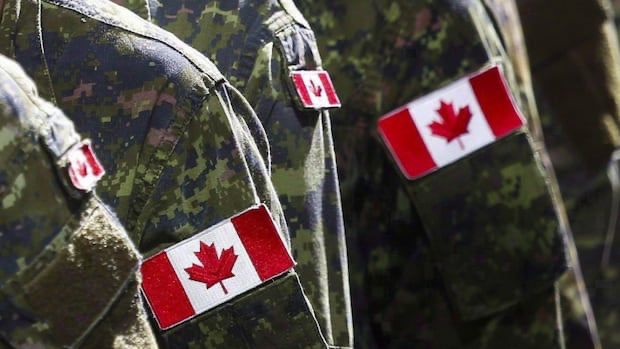 The Canadian Army is now dealing with another incident of alleged hateful conduct that involves Quebec-based soldiers caught on video allegedly partying while some people at the event delivered Nazi s...