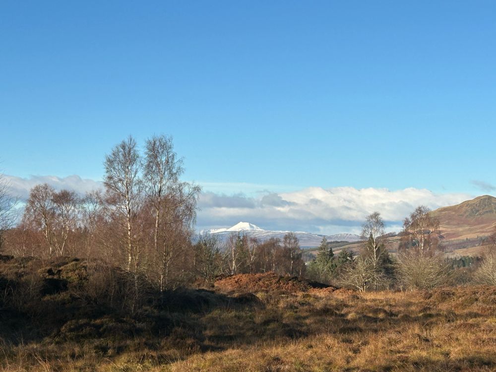 Phot of Ben Lomond taken from Loch Ardinning walk.