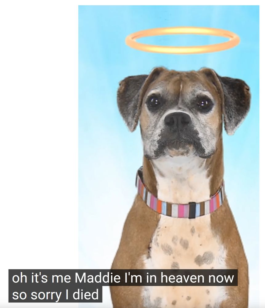 Comment image