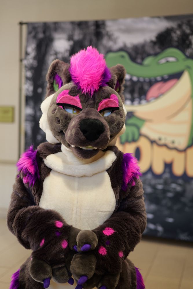 A grey canine fursuiter with purple highlights posing at the chomp event.