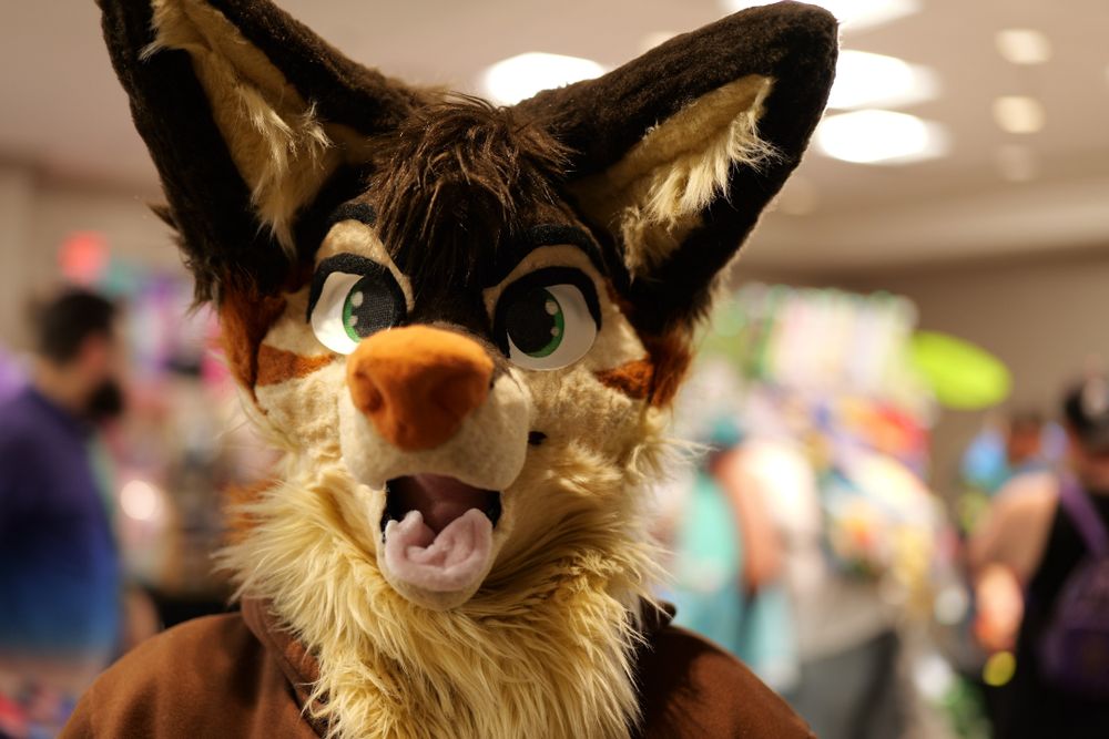 A picture of a brown colored canine fursuiter.