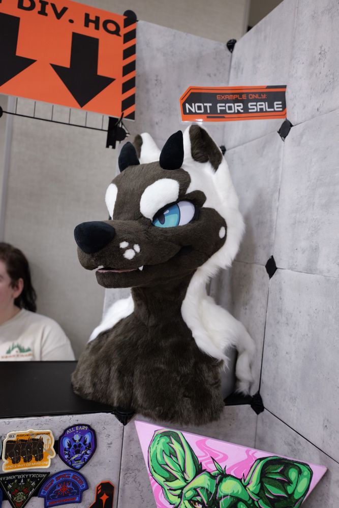 A grey and white fursuit head on display.