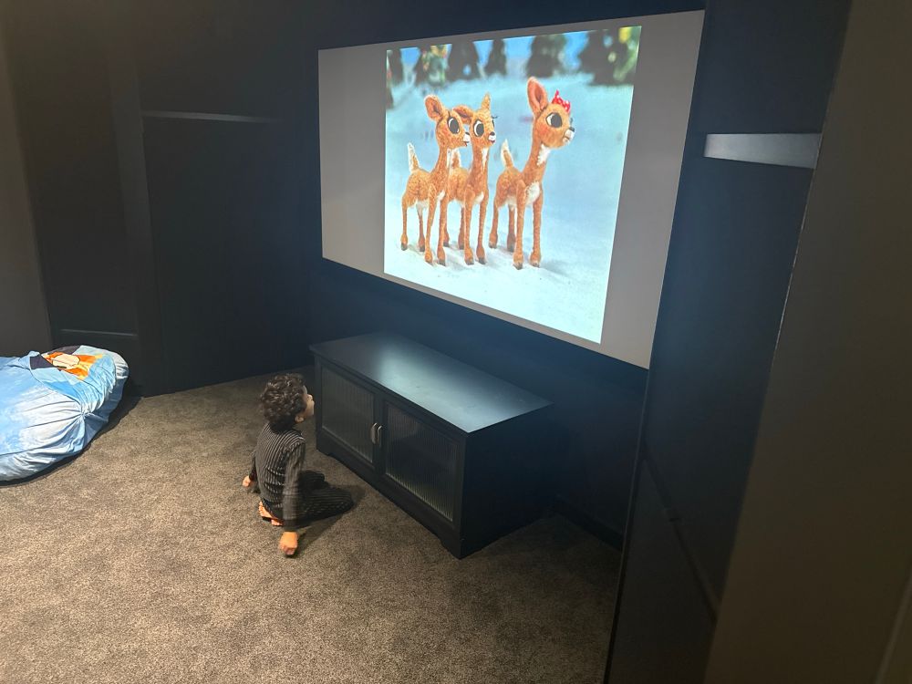 Doodle sitting two feet from a 130” screen watching the Rankin Bass film “Rudolph
The Red-Nosed Reindeer”