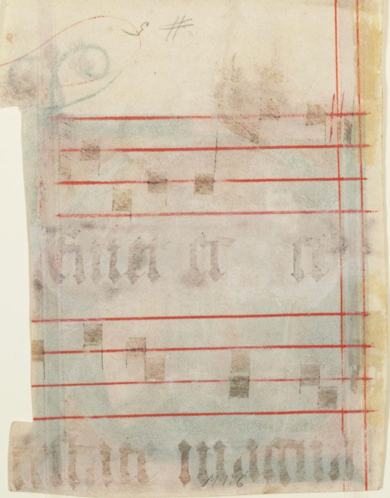 Back of the same cutting, on which part of two four-line musical staves are visible in red, with faded musical notes in square notation. The text, also faded, reads "veniet ecce"..."testate magna", and the music corresponds to that of an antiphon used at the beginning of Matins on the first Sunday of Advent. https://cantusindex.org/id/205133